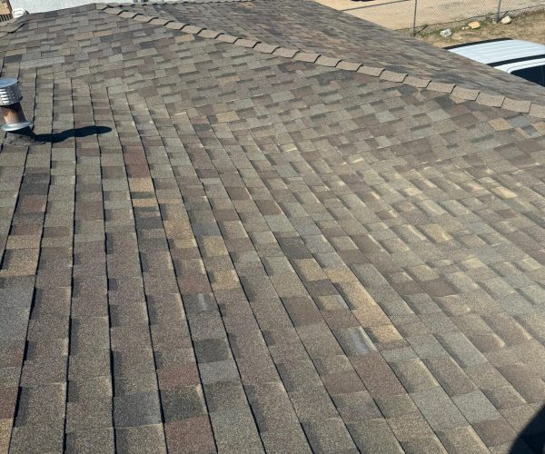 WhatsApp Image 2025-11-13 at 11.02.55 PM (3)