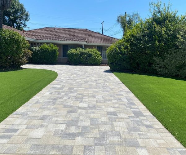 WhatsApp Image 2025-11-13 at 11.02.55 PM