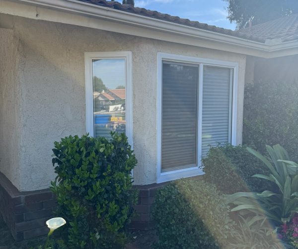 WhatsApp Image 2025-11-13 at 11.02.56 PM