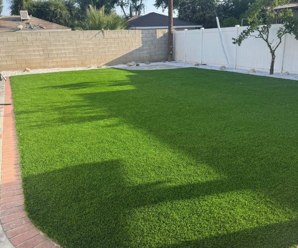 WhatsApp Image 2025-11-13 at 11.02.57 PM (3)