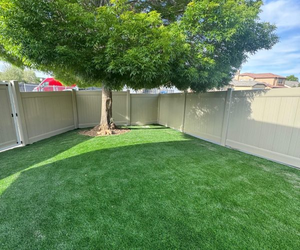 WhatsApp Image 2025-11-13 at 11.02.58 PM (7)