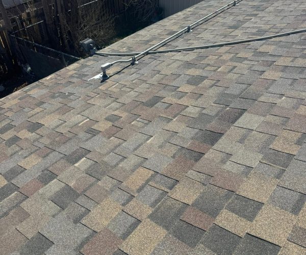 WhatsApp Image 2025-11-13 at 11.02.59 PM (1)