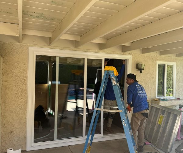 WhatsApp Image 2025-11-13 at 11.02.59 PM