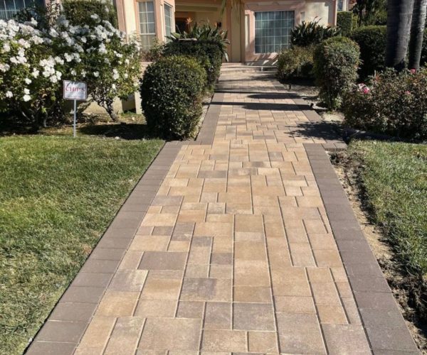 WhatsApp Image 2025-11-13 at 11.08.59 PM (2)