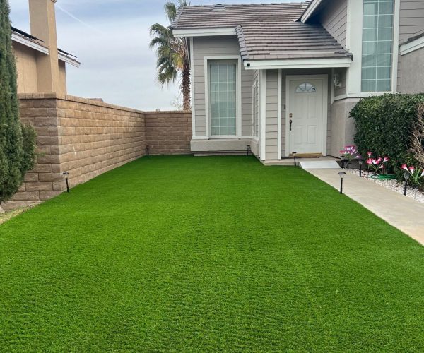 WhatsApp Image 2025-11-13 at 11.08.59 PM (4)