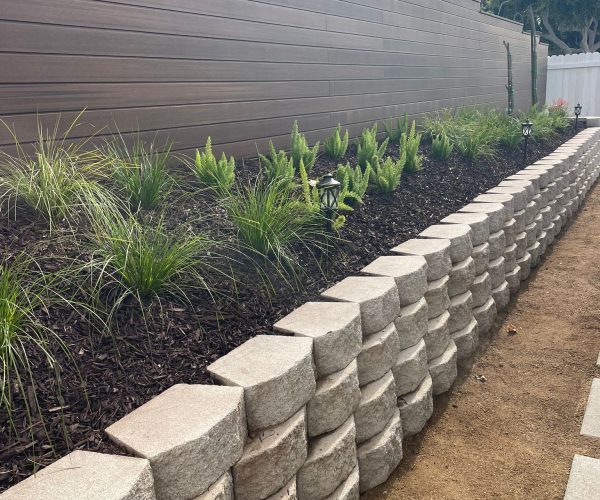 WhatsApp Image 2025-11-13 at 11.09.00 PM (2)