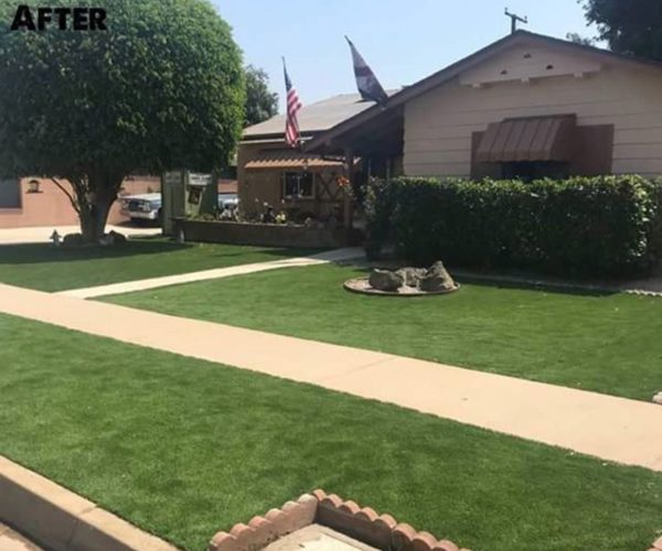 WhatsApp Image 2025-11-13 at 11.09.00 PM (5)