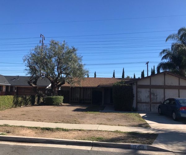 WhatsApp Image 2025-11-13 at 11.09.00 PM